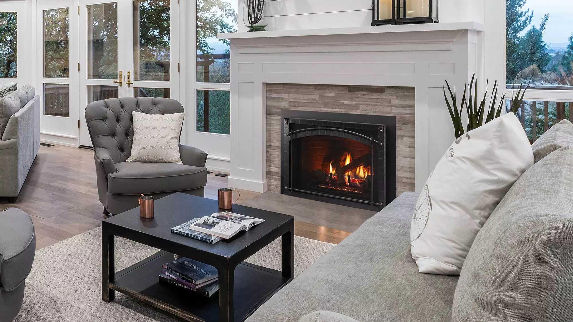 Escape Gas Fireplace Insert