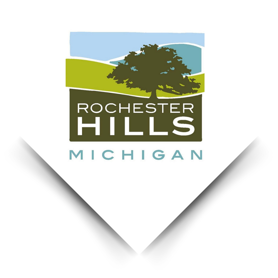 Affordable Website Design in Rochester Hills