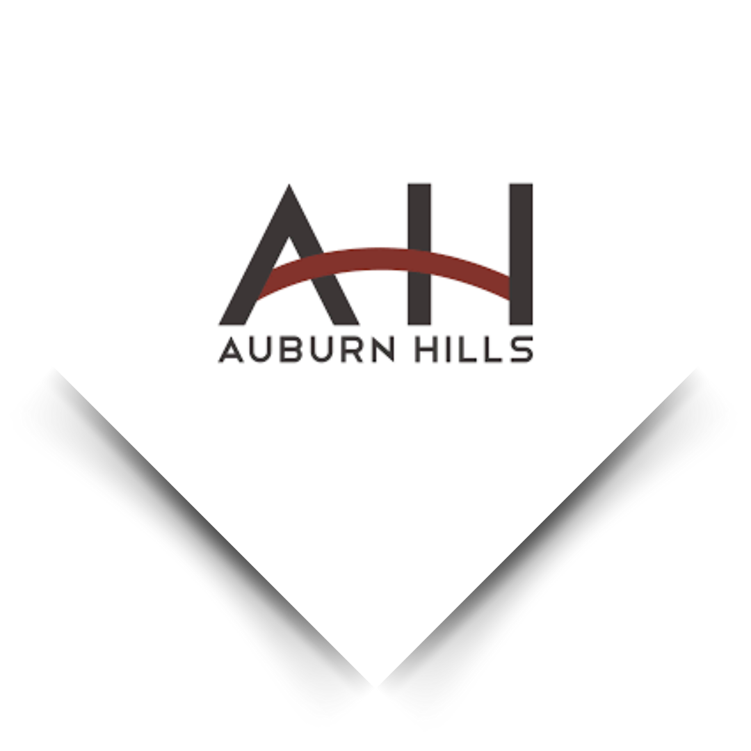 Affordable Website Design in Auburn Hills