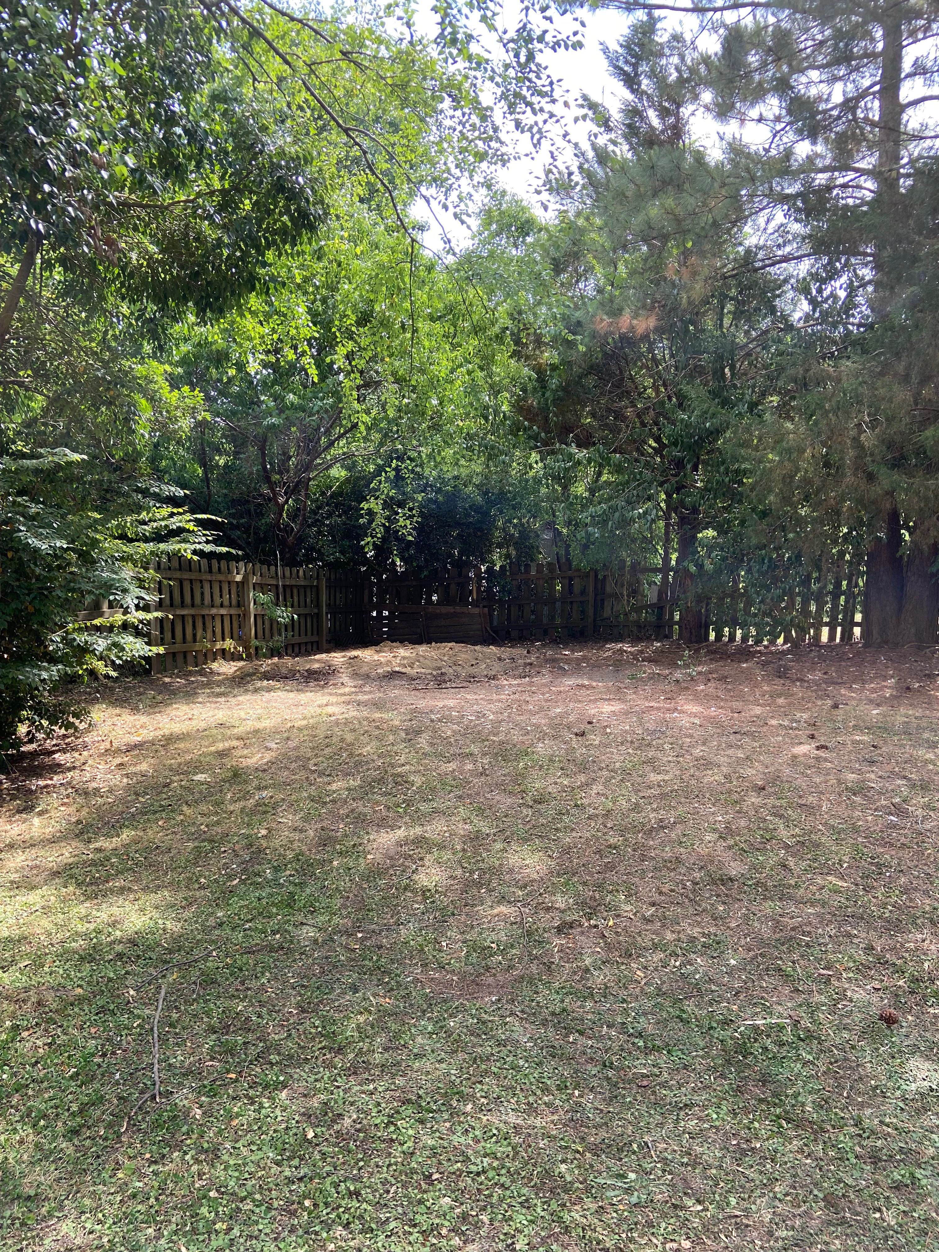 Shed Demolition in Raleigh, NC