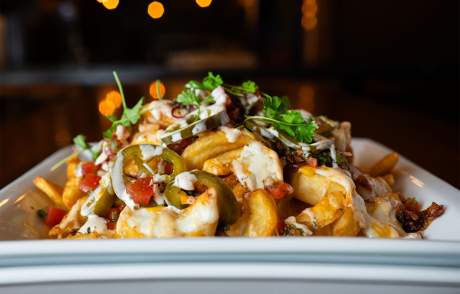 Dinner & Drinks at The Penguin in Columbia, MO