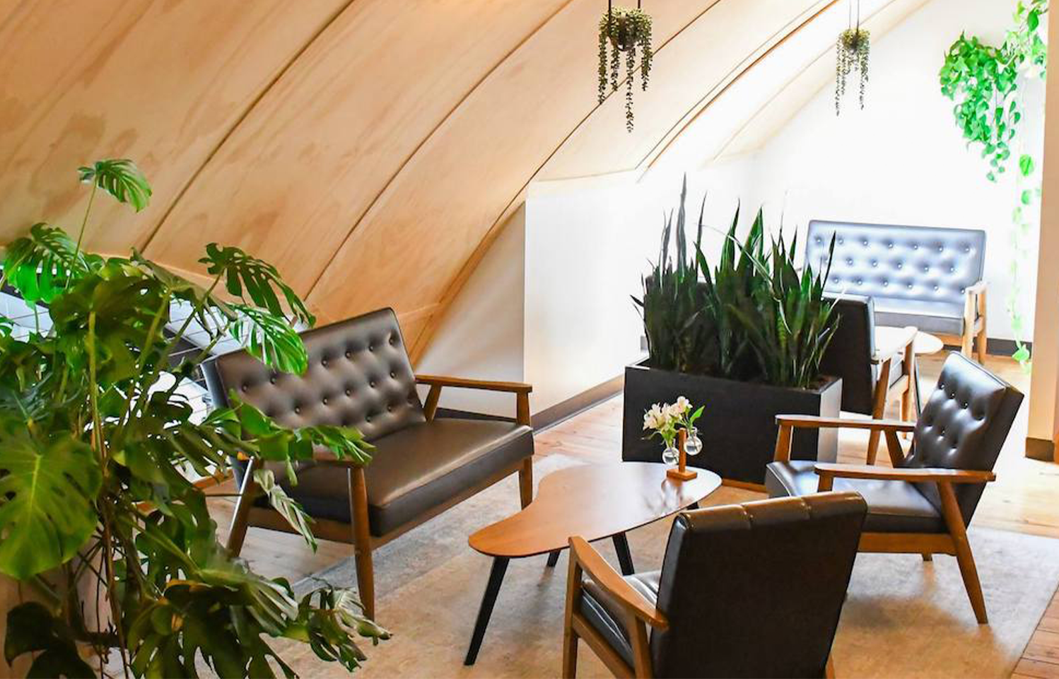 Interior of Acola Coffee Company in Columbia, MO With Couches & Chairs.