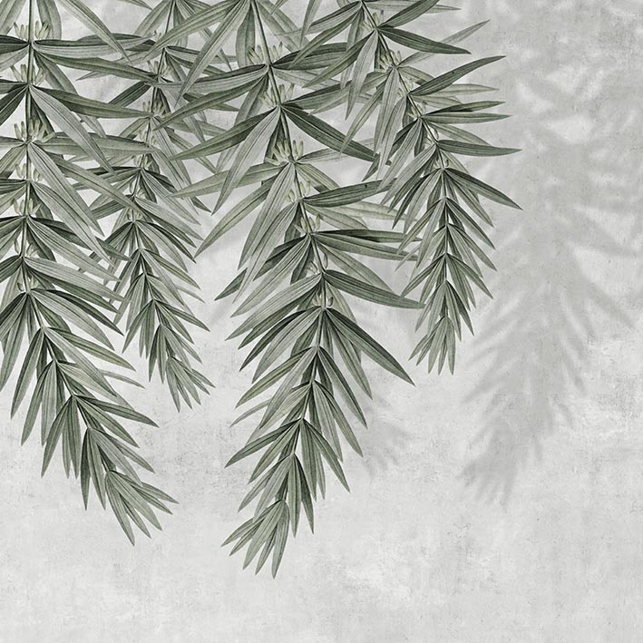 OLIVE CLEAR VINYL VEGGFÓÐUR