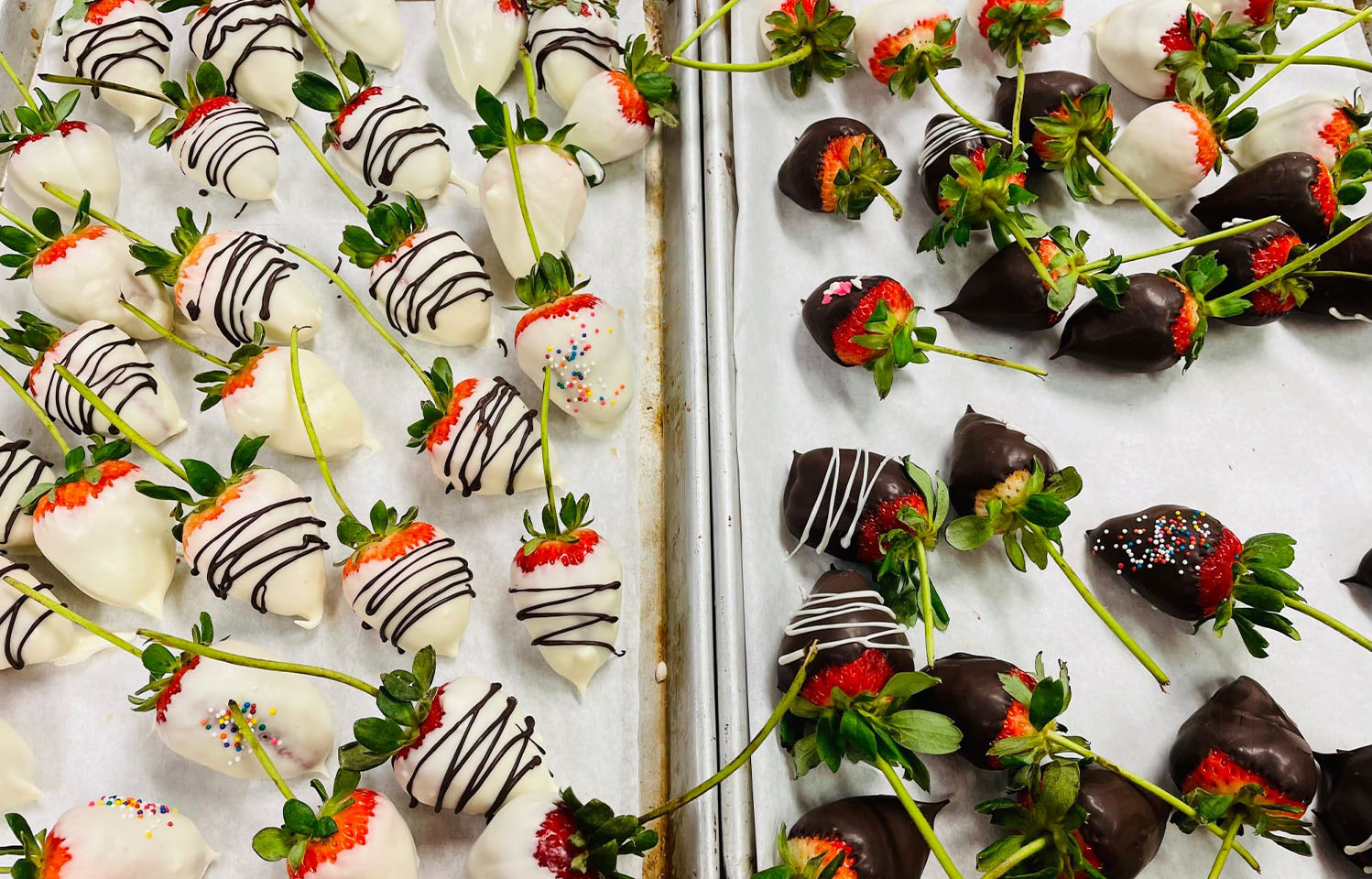 Grab a cupcake, macaroon, and other treats from U Knead Sweets in Columbia, MO.