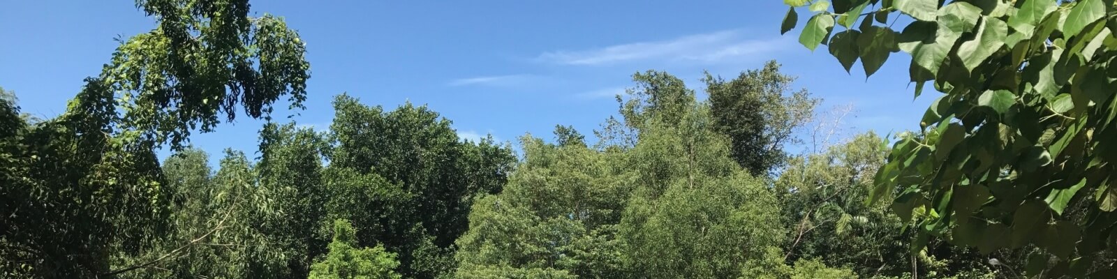 NT Rural Placemaking POS SOP