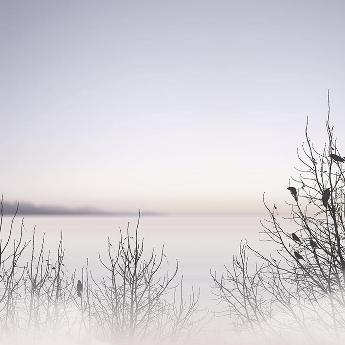 ALBA LIGHT VINYL VEGGFÓÐUR