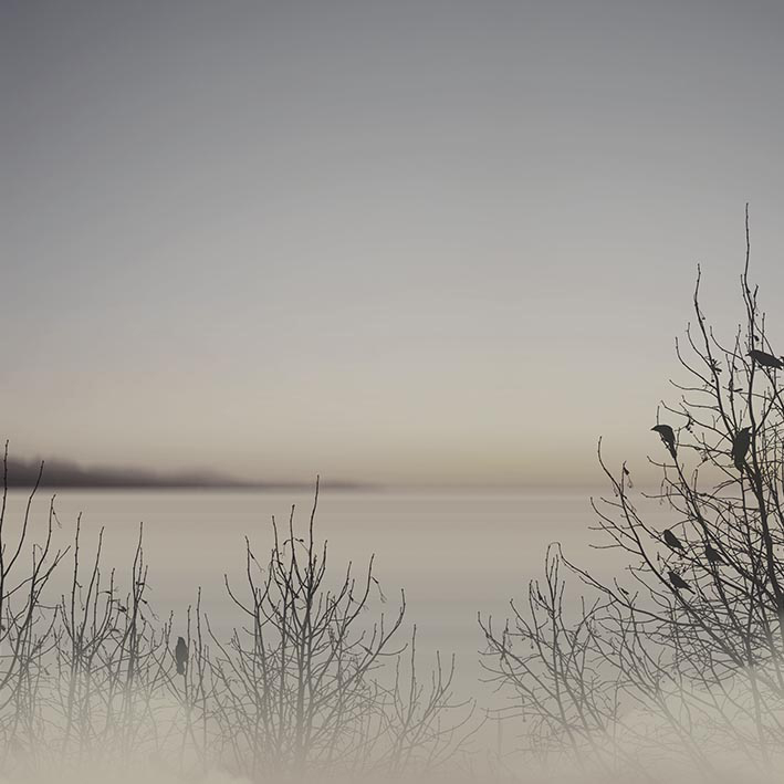 ALBA DUSK VINYL VEGGFÓÐUR