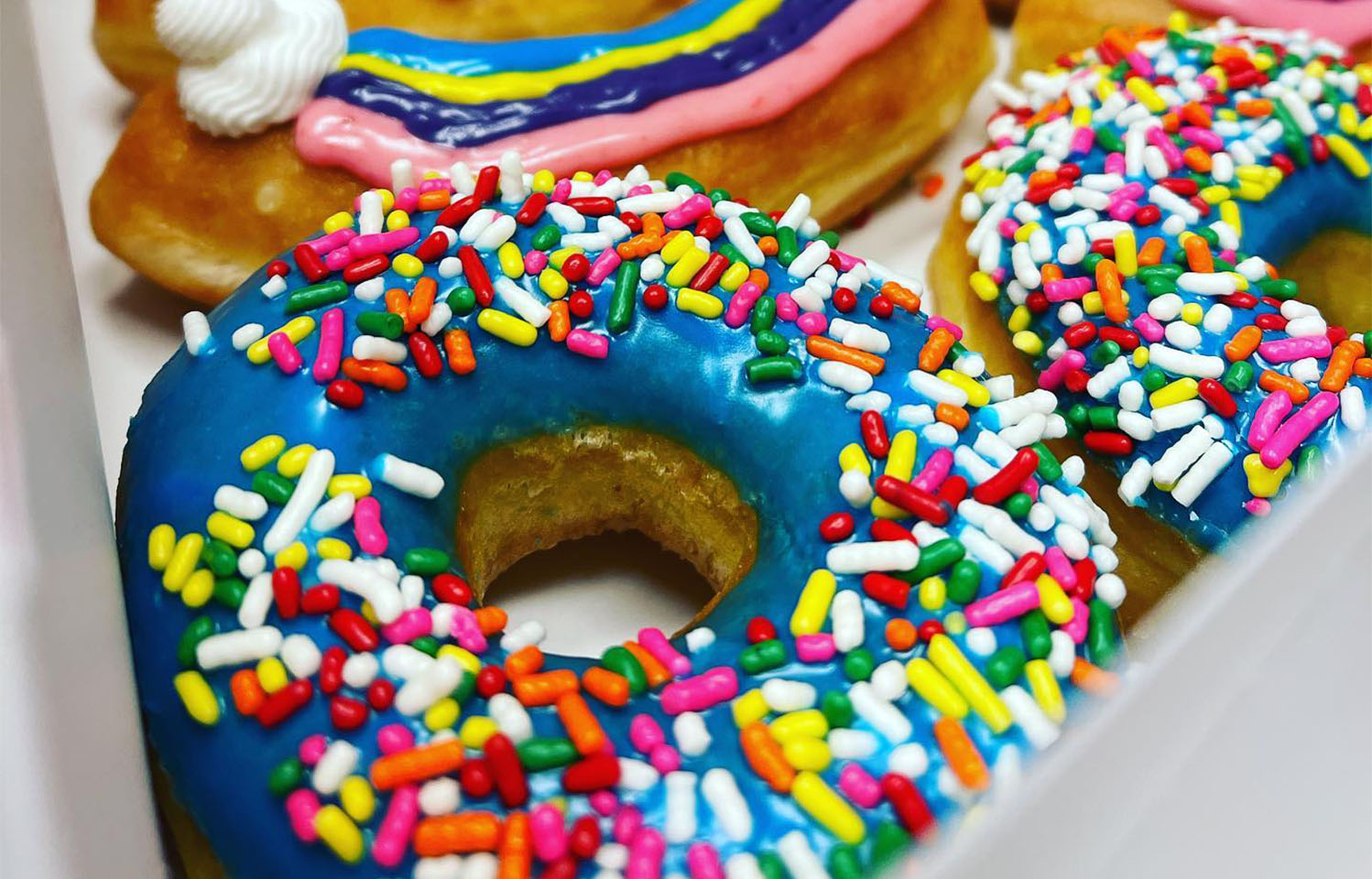 Visit Ellianna's Donut Shop for unique and colorful donuts in Columbia, MO.