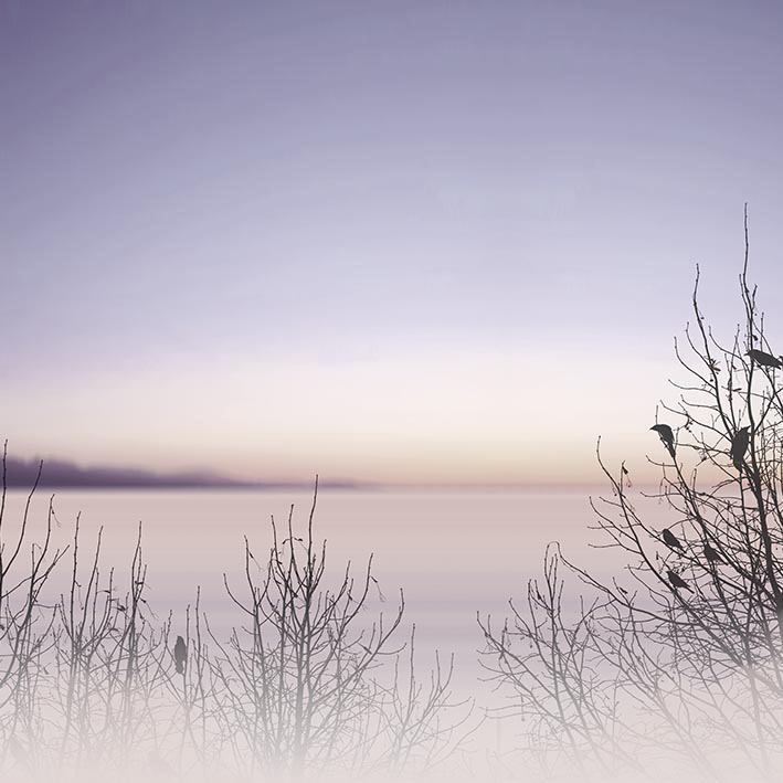 ALBA ROSE VINYL VEGGFÓÐUR