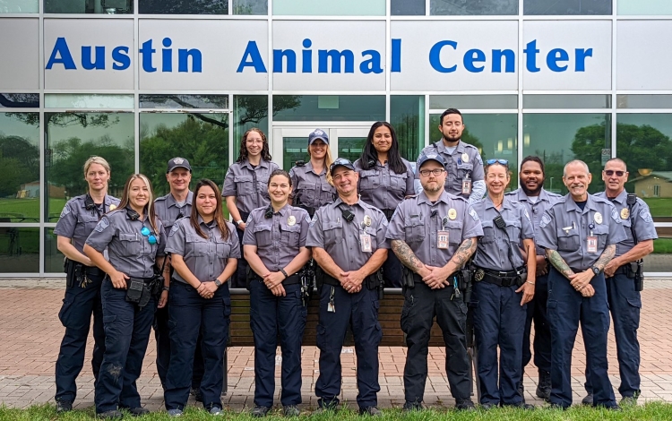Z - Animal control Officer, Humane officer, Animal Services Officer, Animal Protection Officer, Animal Welfare Officer, Humane Investigator, or Dog Warden - Arrow
