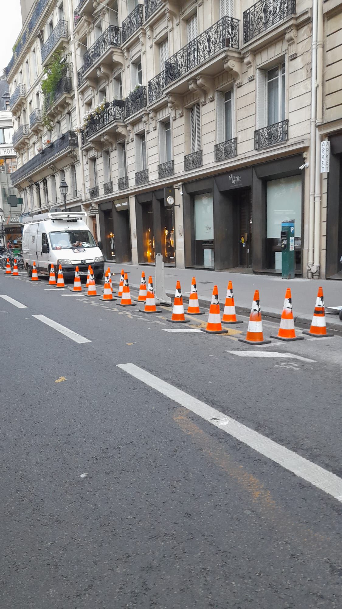 Prestation de Ventousage  pour RADICAL BRAIN DISCIPLINES-2025-4