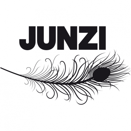 Prestation de Ventousage  pour JUNZI-2025-6