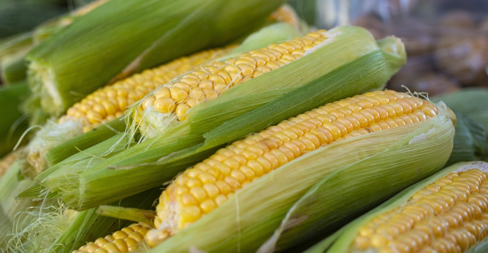 Image of Corn