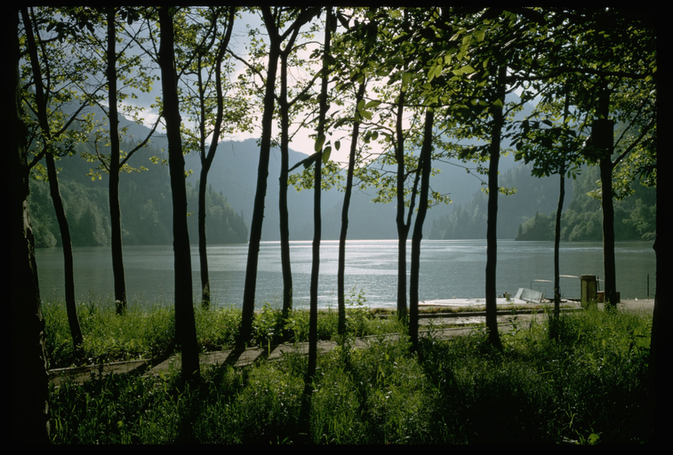 Lake Ritsa. 1967, Abkhazia.