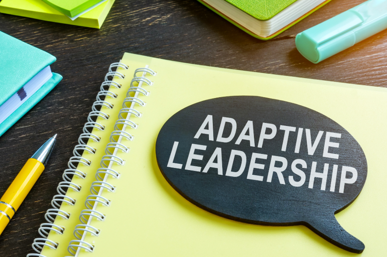 When is Diversification a Good Business Strategy?