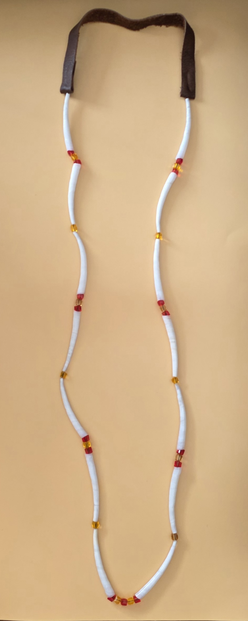 Necklace — Winter Sun on Dentalium