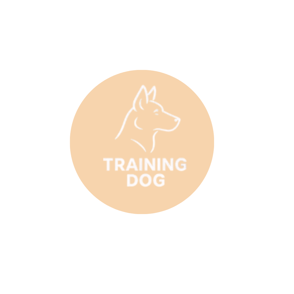 Training Dog