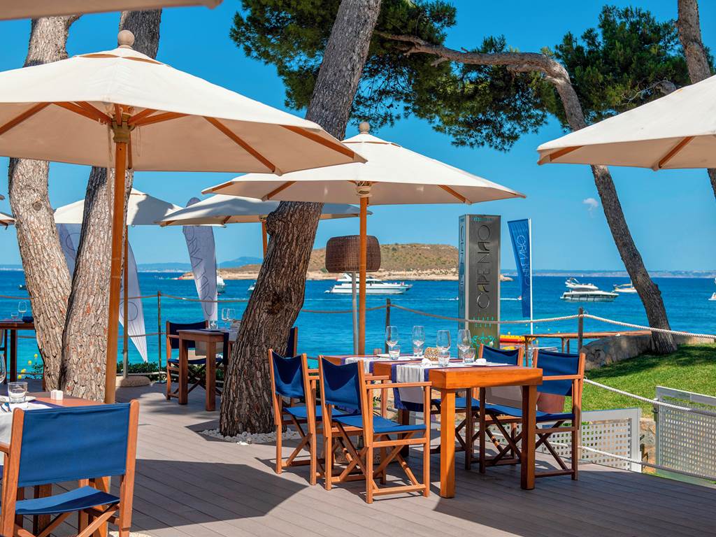 PMI_73543_Melia_Calvia_Beach_1122_05.jpg