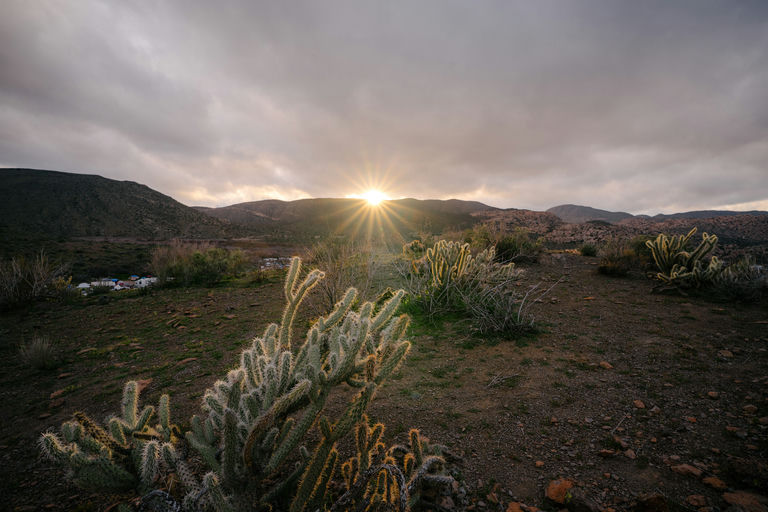 099. UW-23-@stefman_-08662-(Saturday, Scenery).jpg