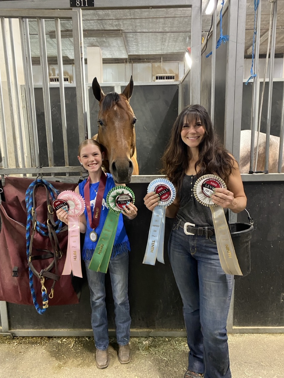 Bristol horse showing 4