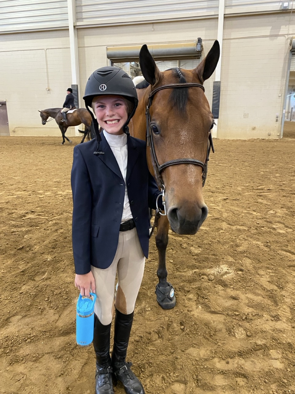 Bristol horse showing 3