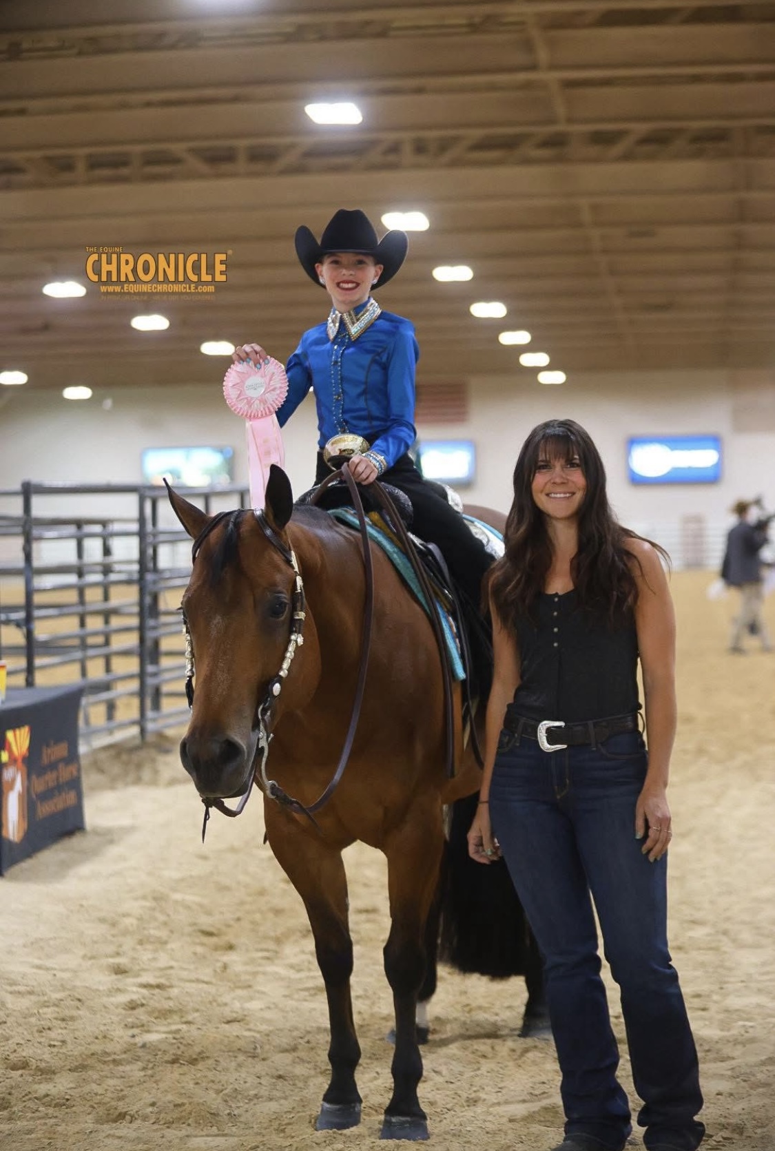 Bristol horse showing 2