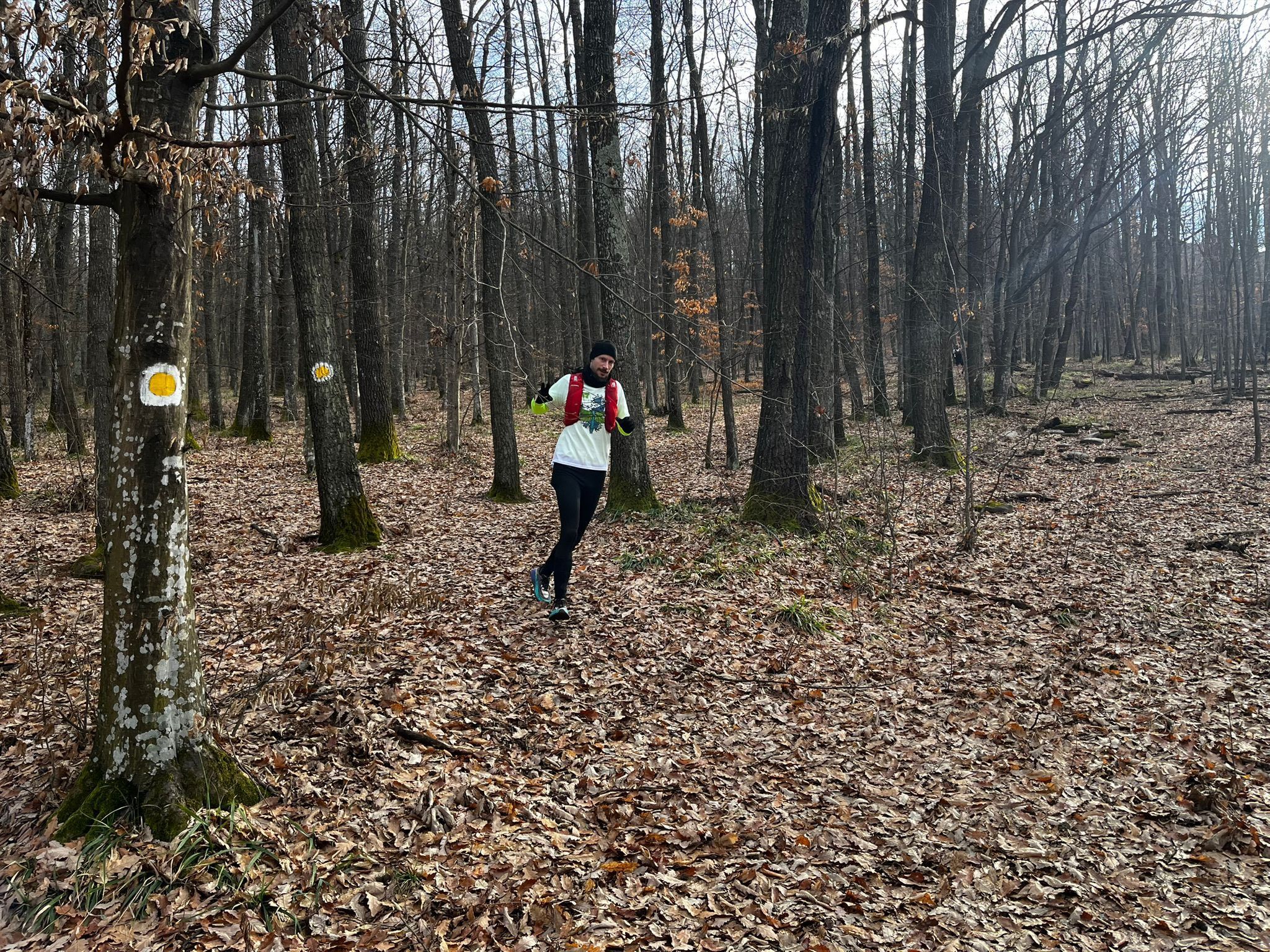 Primavera Trail Race