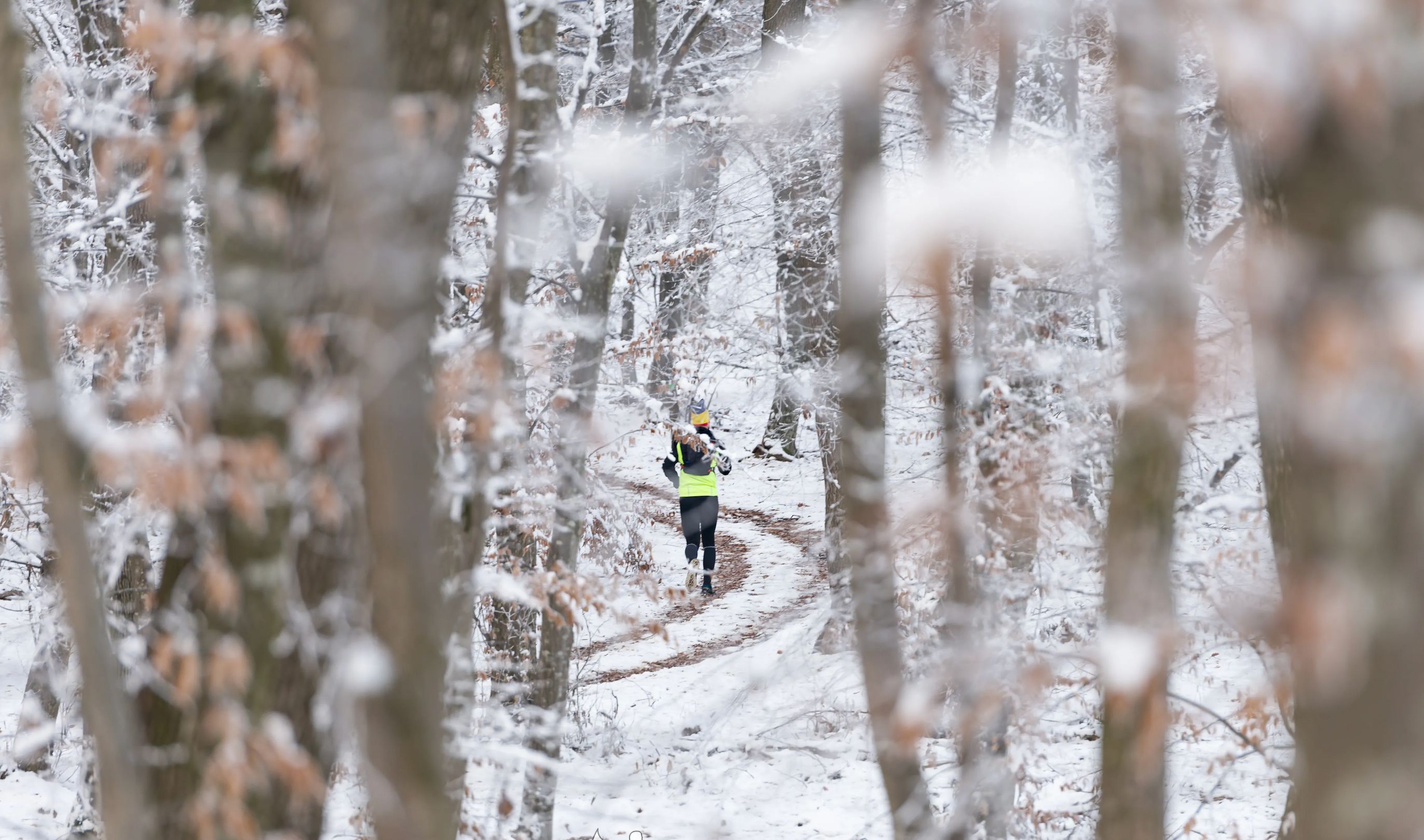 Cluj EcoTrail Ultramarathon