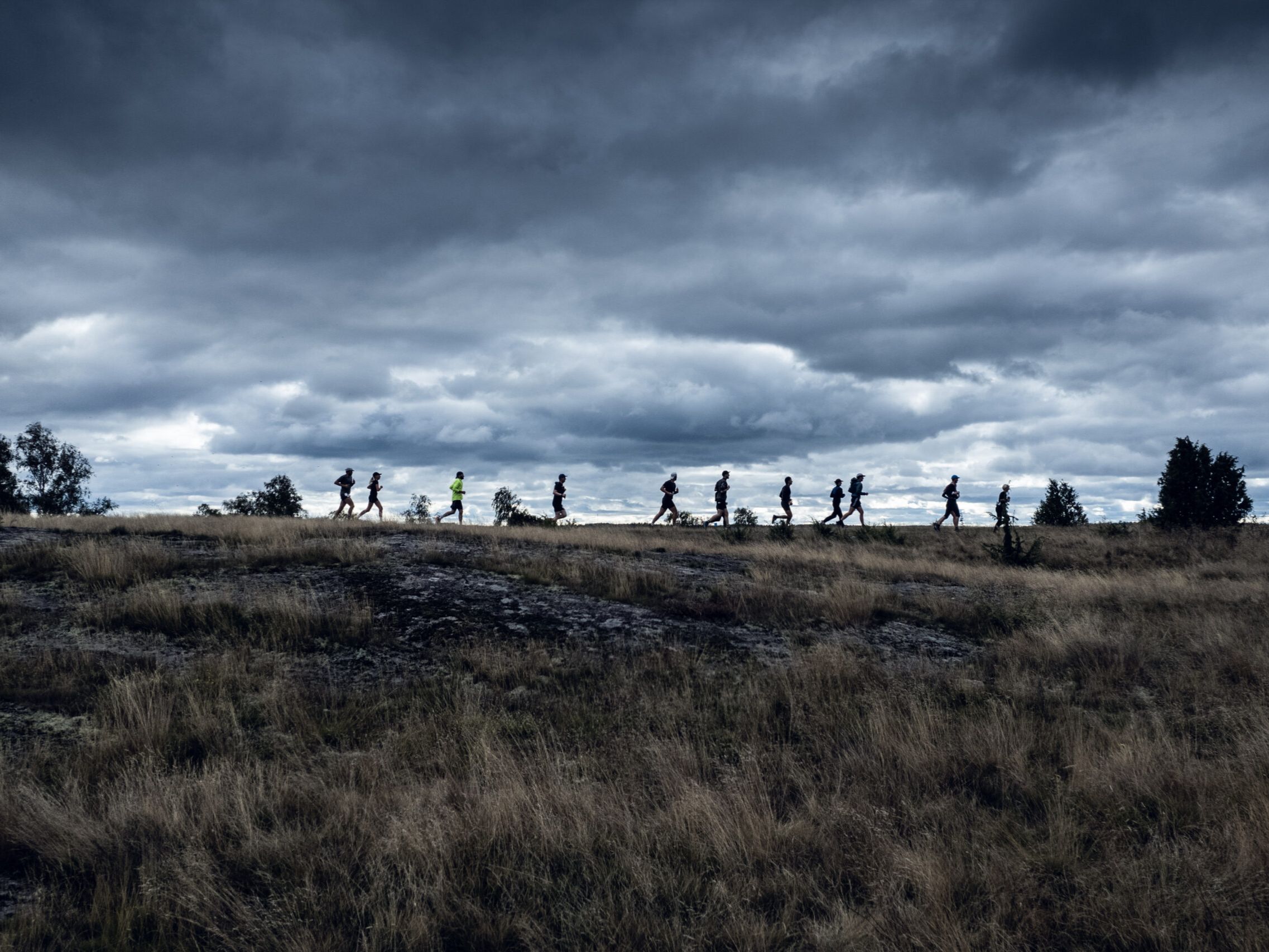 Sörmlands Trail Run