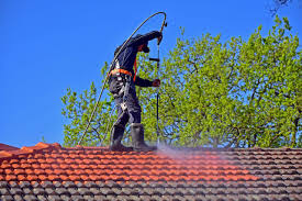 Roof Moss & Algae Removal