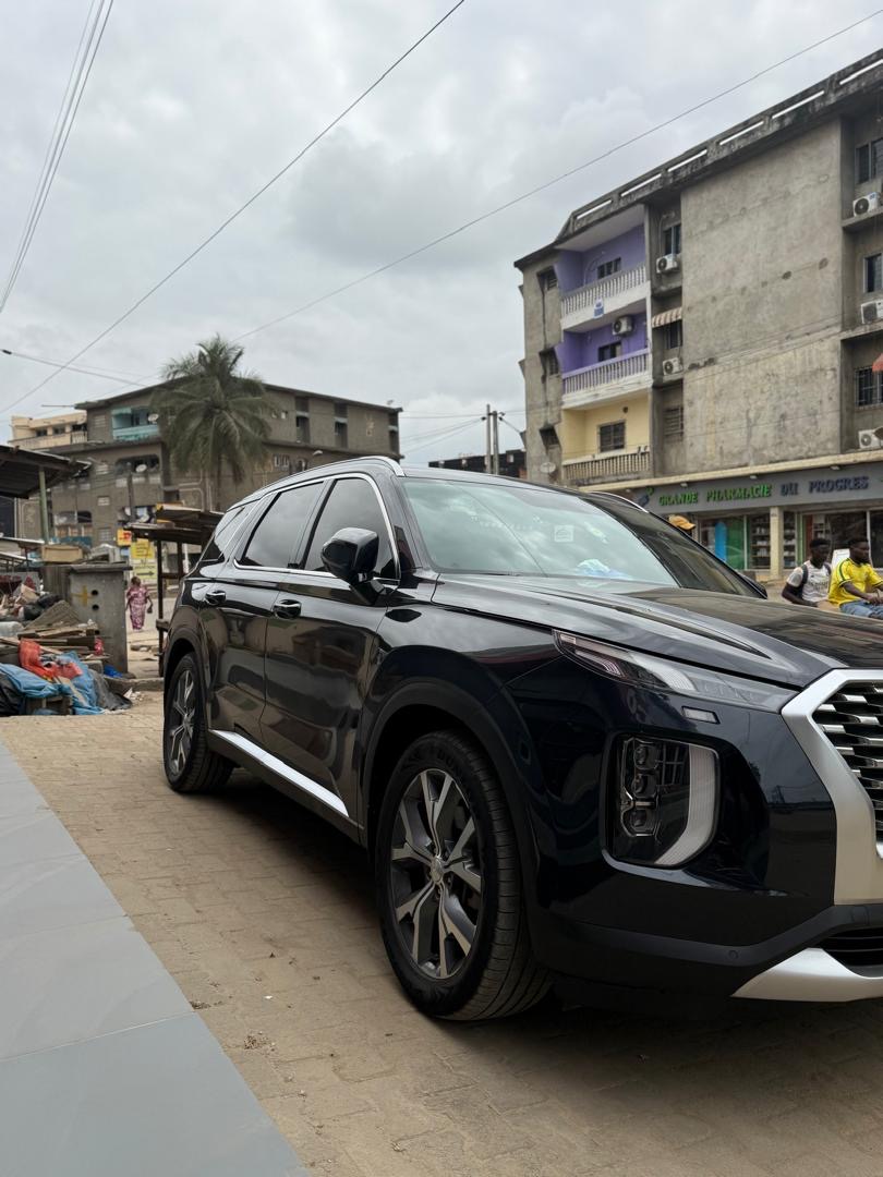 Hyundai palissade 2021 - Miniature 3