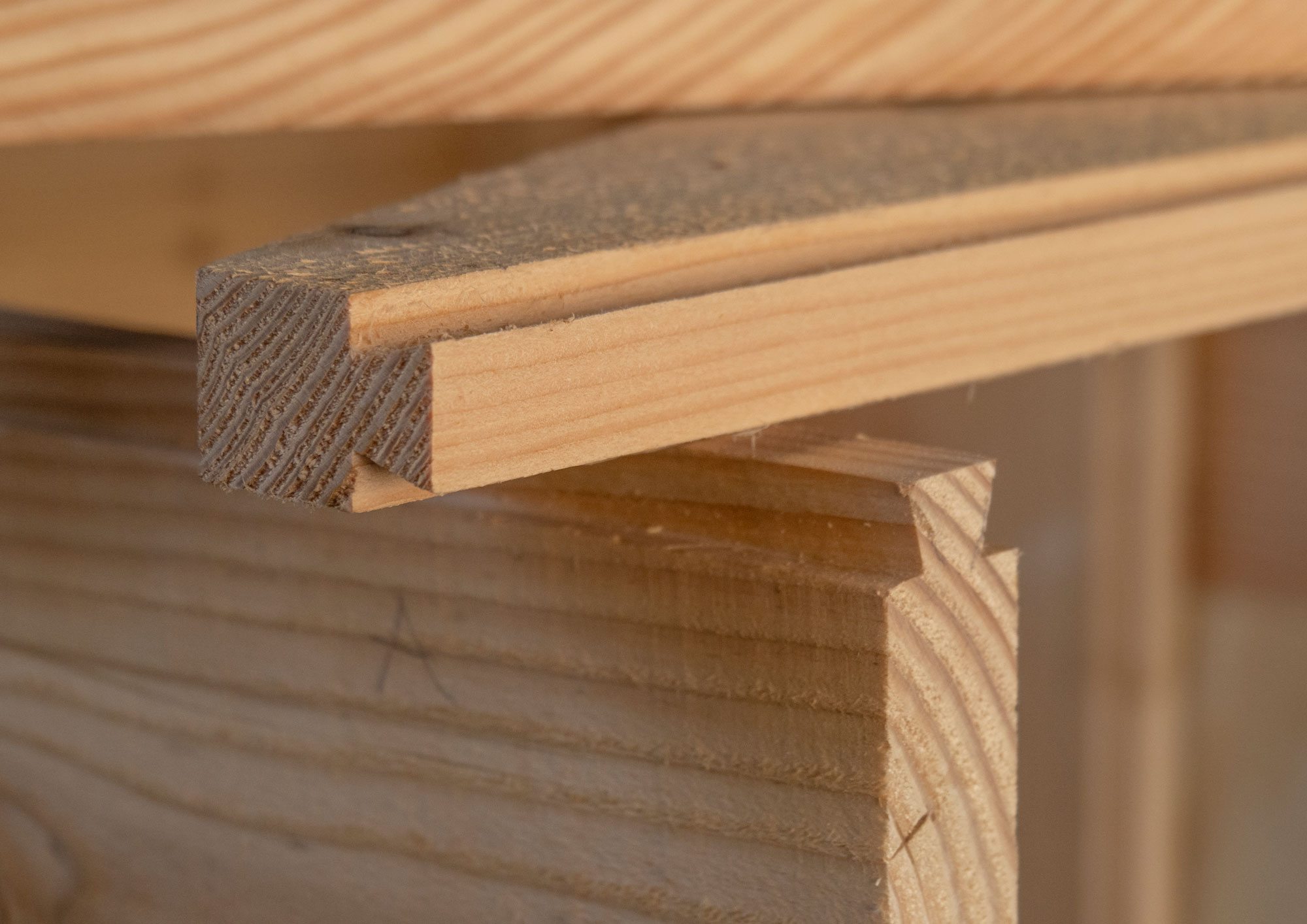 Archival Studies Thoravej Process 16