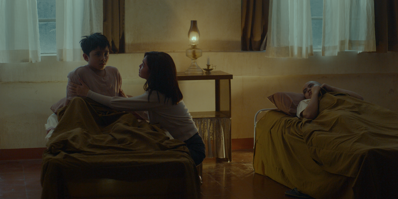 © 2025 Evolve Studios, Studio Viva, Viva Communications inc