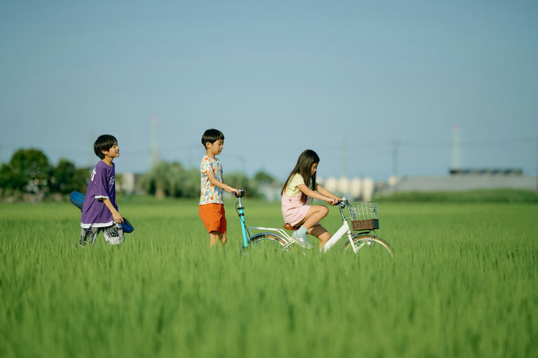 © 2025 HDY production committee