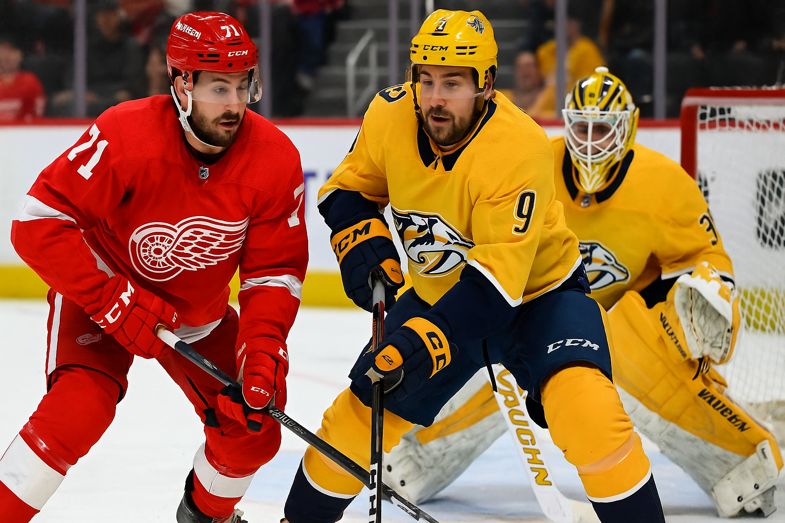 red wings vs predators