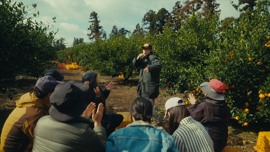 courtesy of M-Line Distribution 