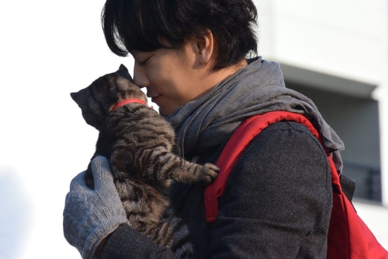 © 2016 Toho Co., Ltd. / Hakuhodo DY Media Partners Inc. / Shogakukan Inc. / Amuse Inc. / Cross Company Inc. / Magazine House Co., Ltd. / Lawson HMV Entertainment , Inc. / Sony Music Entertainment (Japan) Inc. / KDDI Corporation / Gyao Corporation / Nippon Shuppan Hanbai Inc.