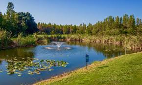 The Groves Golf and Country Club - Photo 1