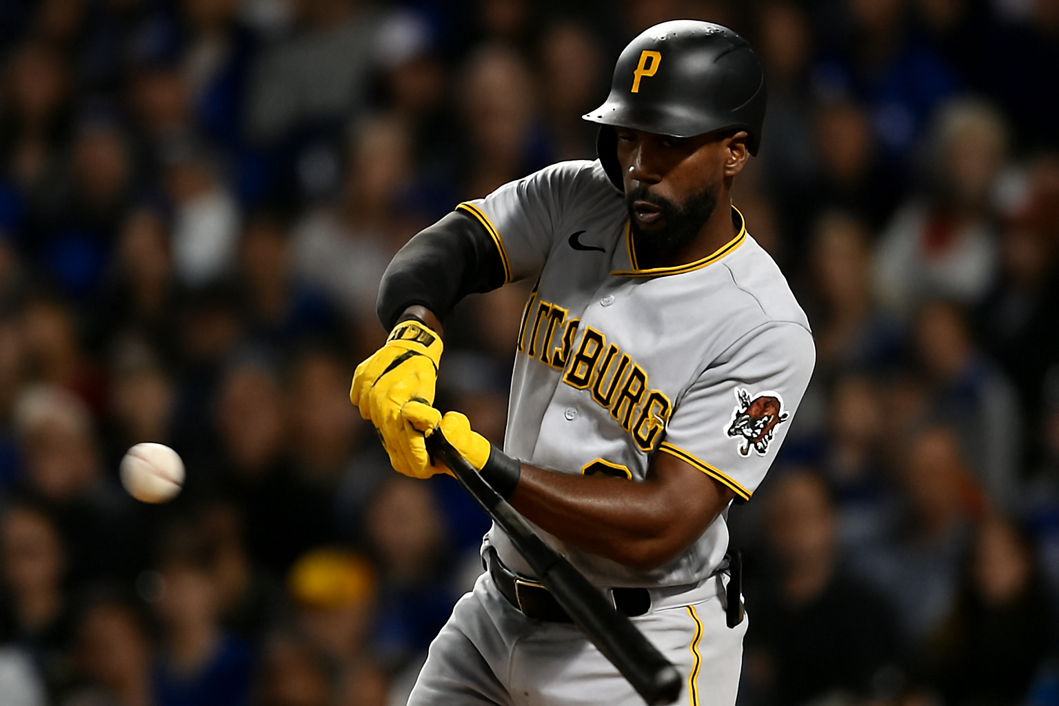 andrew mccutchen