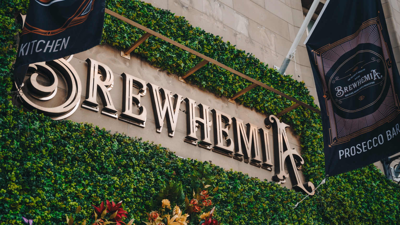 Brewhemia