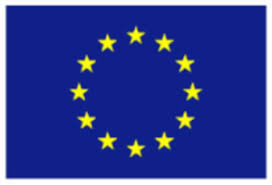 Workshop on the evolution of the Sevilla process in light of the revised Industrial Emissions Directive