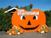 Pumpkintown USA