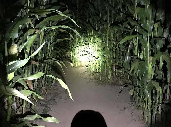 Preston Farms Corn Maze