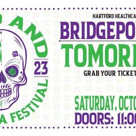 Taco and Margarita Fest