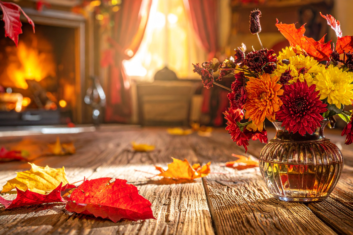 FOCUS Festival of Thanks & Giving