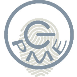 consultant internet pme