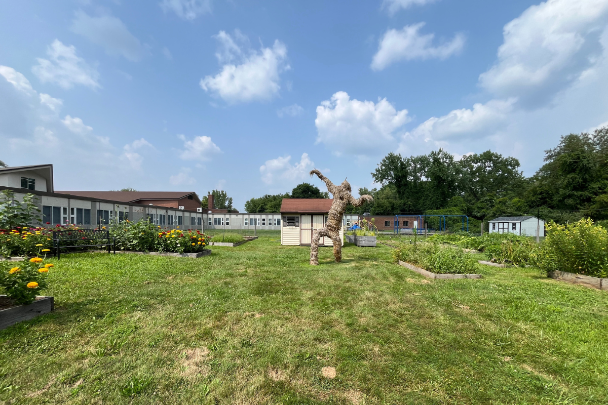 Volunteer at Diane's Farm!