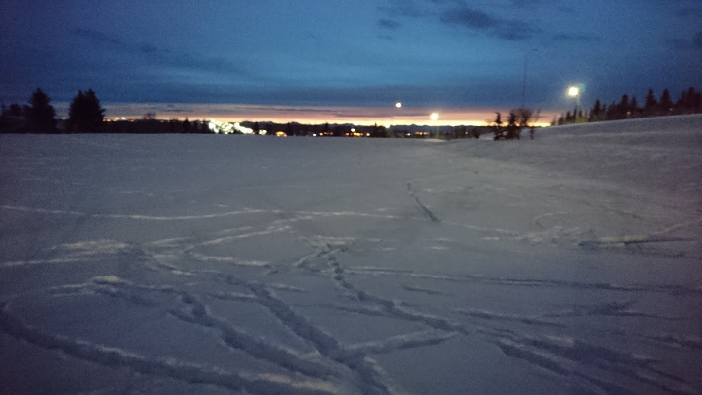 Dalcastle Cr NW Playground