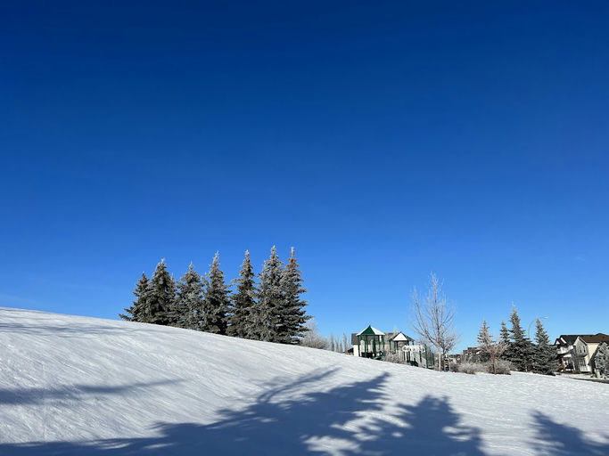 Playground, Evergreen