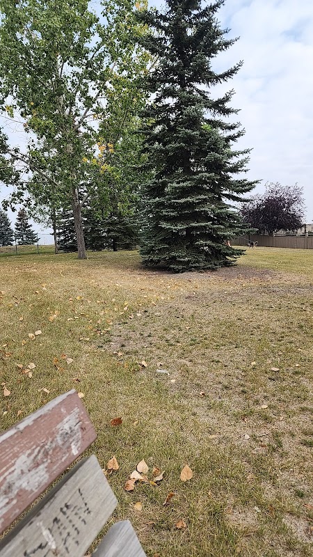 Chaparral Ci SE Playground